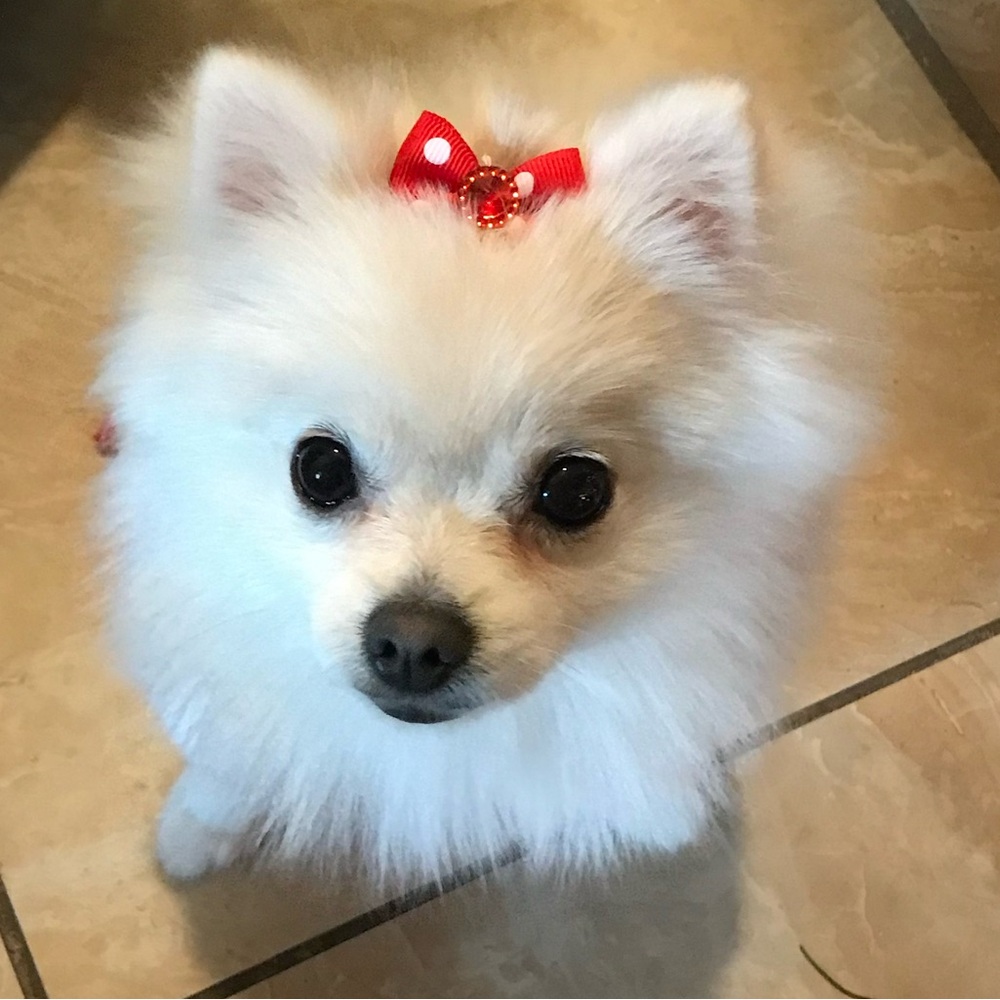 Meet your Posher, Danielle